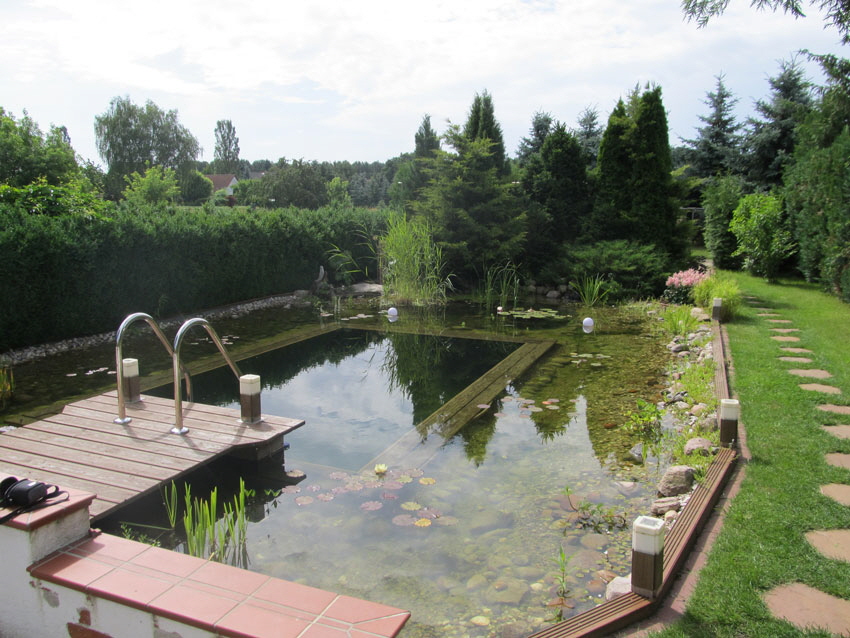 Gartenteich-Brandenburg