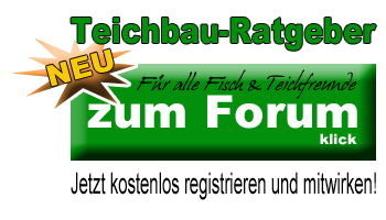 forum-button