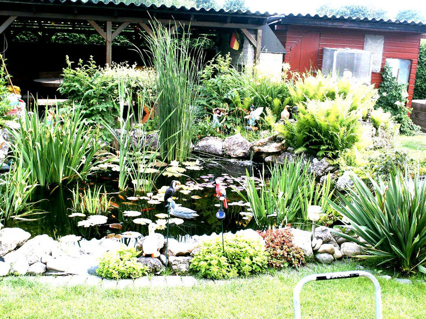 Litz-Naturteich.jpg Litz-Naturteich.jpg