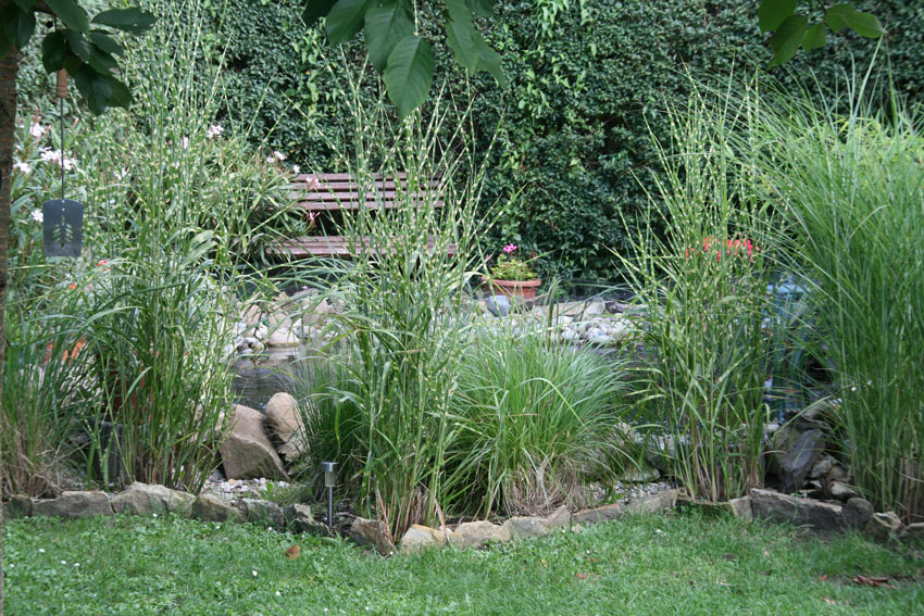 kleiner-Gartenteich2.jpg kleiner-Gartenteich2.jpg