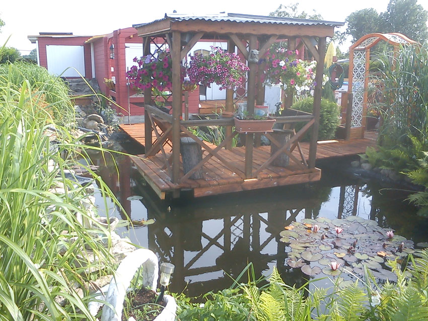 Platteau-am-Teich.jpg Platteau-am-Teich.jpg