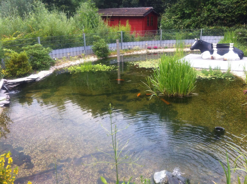 GrosserFischteichmitKies1.jpg