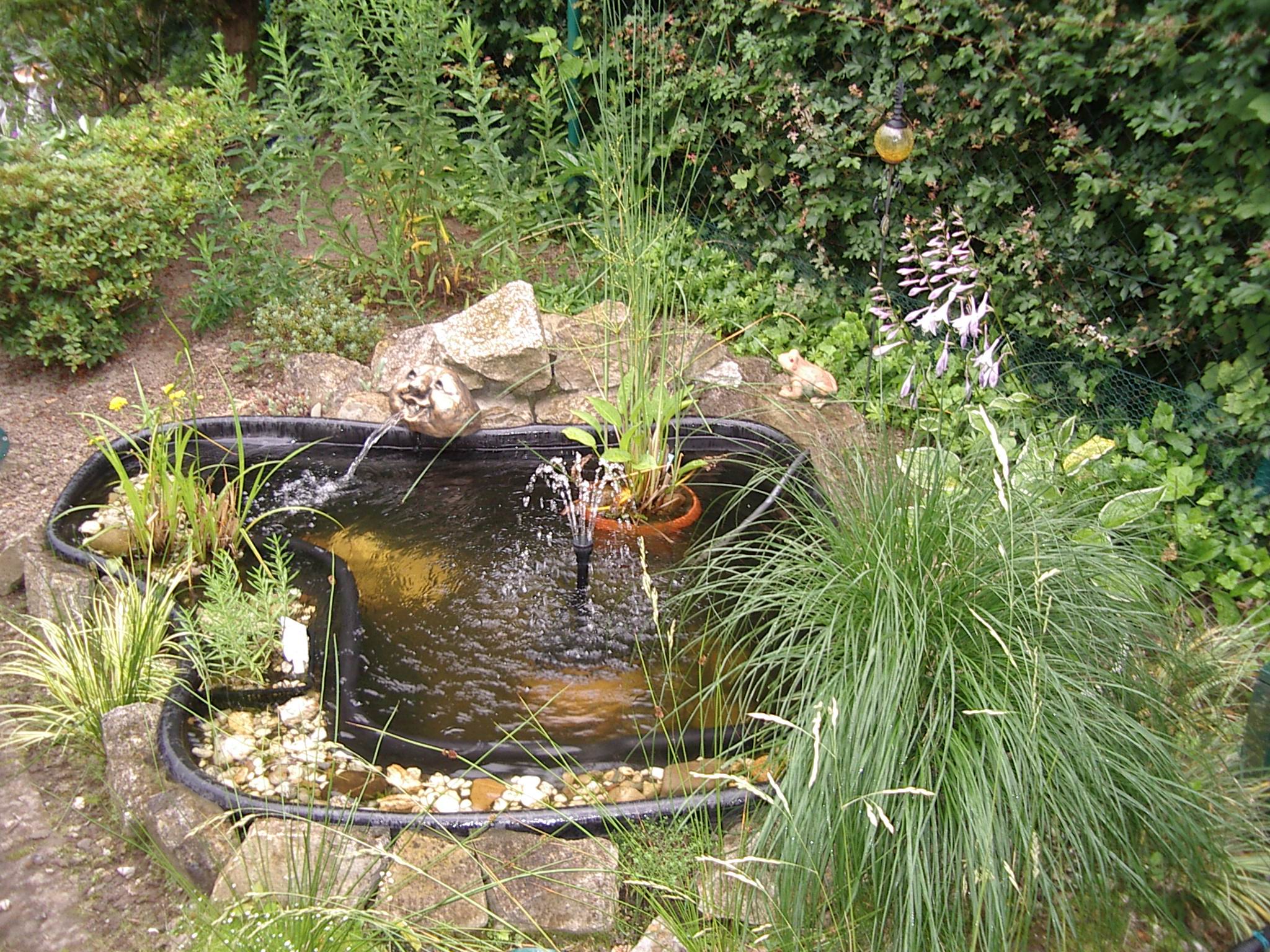 29.06.12-3.jpg 29.06.12-3.jpg
