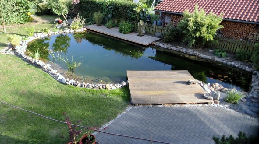 teich-sept-2012.jpg teich-sept-2012.jpg
