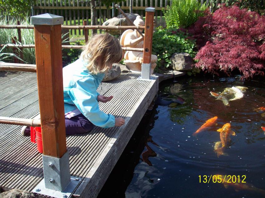101_3170.JPG 101_3170.JPG